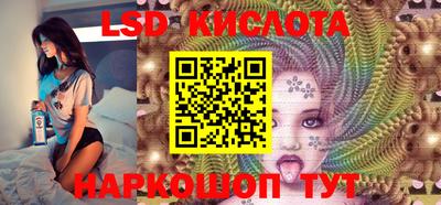 стаф Кулебаки