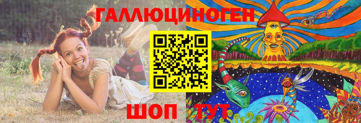 Галлюциногенные грибы Psilocybe Каменск-Уральский